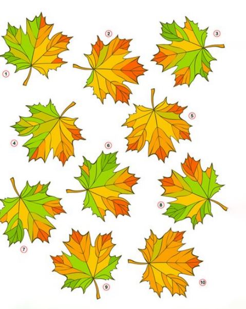 Есенска загатка: Пронајдете два идентични листови