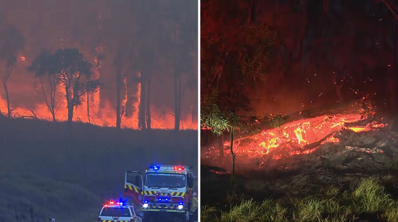 Шумски пожари беснеат во Австралија: Наредена евакација на жителите на Квинсленд